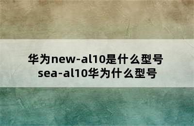 华为new-al10是什么型号 sea-al10华为什么型号